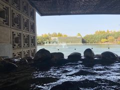 -春晖园度假酒店温泉