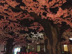 -蓝鲸湾汤泉(包河店)