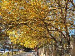 -辽宁大学(崇山校区)