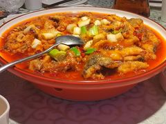 -巴特餐饮6加1音乐餐吧·新疆菜