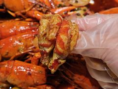 -杨氏青龙虾·羊蝎子(金盛路总店)