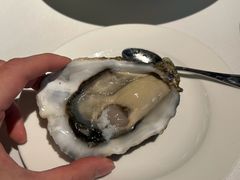 -Oyster Talks 四度蚝法餐厅