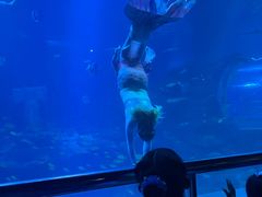 -太平洋海底世界