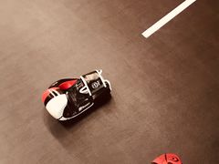 -体育科代表搏击散打体能训练馆(陶然亭店)