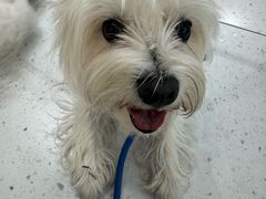 -1013 PET SHOP 宠物商店(近铁城市广场店)