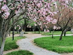 -莲花池公园