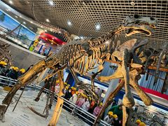 -国家自然博物馆