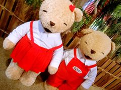 -济州岛泰迪熊博物馆