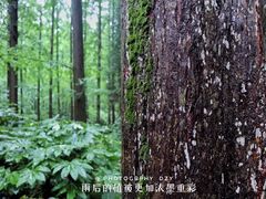 -上海怡沁园度假酒店