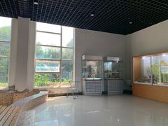 -南京金牛湖风景区