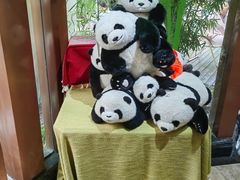 -轩客会(熊猫书店)