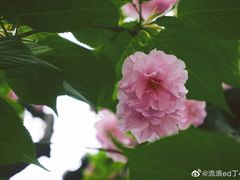 -龙潭水乡