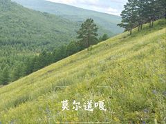 -莫尔道嘎国家森林公园