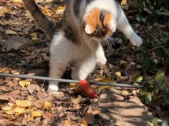 -狼山风景名胜区