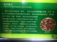 -上海昆虫博物馆