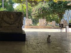 -安塔利亚博物馆