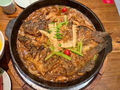 -老板恋上鱼(印象城店)