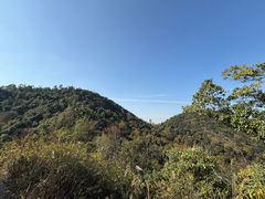 -桃花岭景区