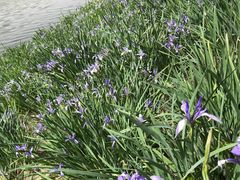 -天津东丽湖风景区