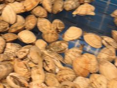 -焰江山海鲜牛排烤肉自助(锦华万达二星店)