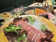 -大龙燚·旷野鲜火锅(广州首店)