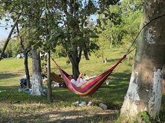 -白鹭湾湿地公园