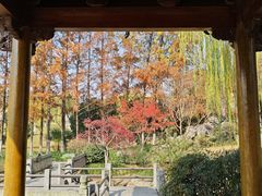 -武汉园博园(武汉自然博物馆)