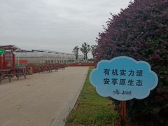 -上膳源有机农场