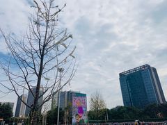 -宝龙城(杭州滨江店)