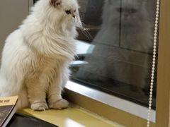 -德瑞姆心理咨询旗舰店