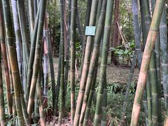 -成都杜甫草堂博物馆