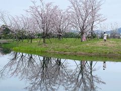 -良渚古城遗址公园