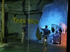 -清迈夜间动物园