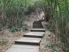 -缙云山景区