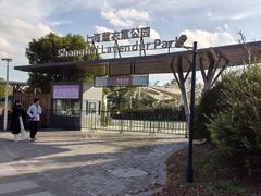 -季高兔窝窝亲子园(上海薰衣草公园店)