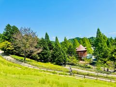 -神户市立六甲山牧场