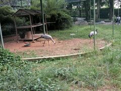 -广东茂名森林公园