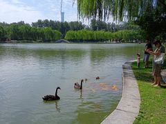 -中国农业博物馆
