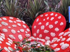 -正佳雨林生态植物园