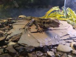 -Zoolung Zoolung动物主题公园(海信广场店)