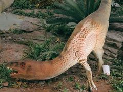 -湖南省地质博物馆