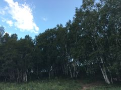 -乌兰布统草原
