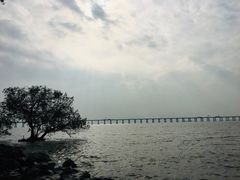 -宝安西湾红树林湿地公园
