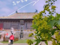 -永乐宫