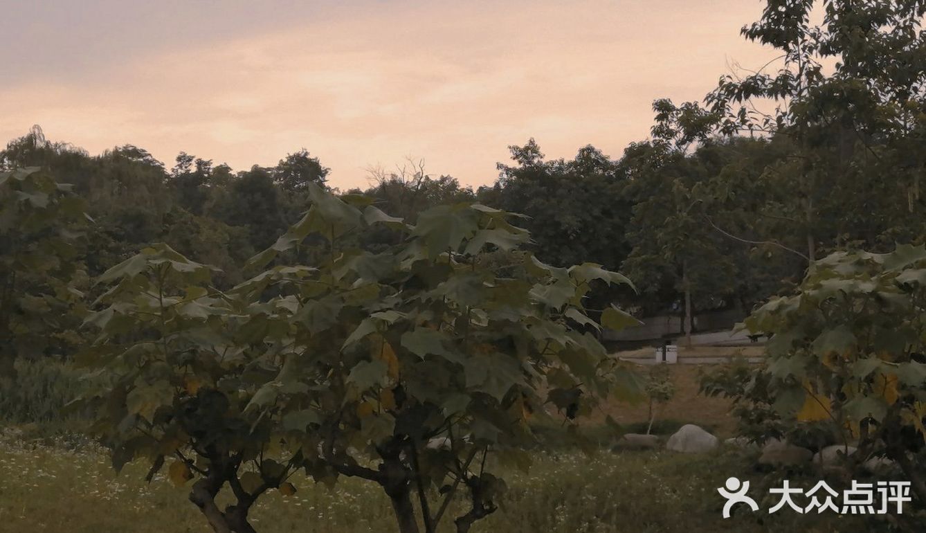 成都公园避暑，夏夜超级喜欢来成都露天音乐公园吹凉风。