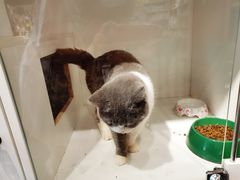 -熊小胖宠物生活馆(天华园店)