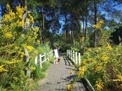 -铁山坪森林公园