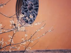 -西园寺