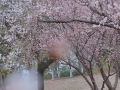 -桂溪生态公园