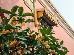 -北京市劳动人民文化宫(太庙)